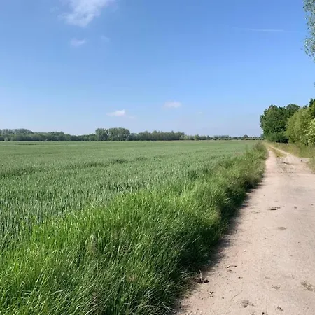 De Warande Iv 0303 With A Location
